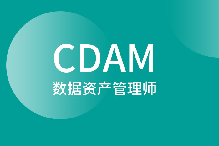 CDAM数据资产管理师认证：专业评估确保能力水平